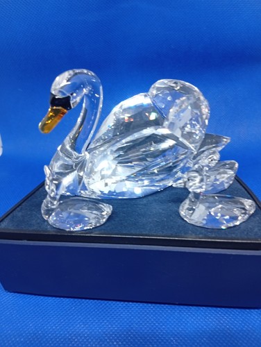 Swarovski scs - swarovski,